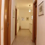 Bed and Breakfast Adriana 4*