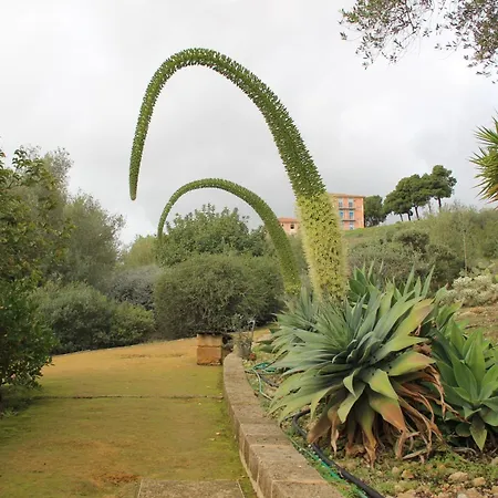 Adriana فندق مبيت وإفطار 4*