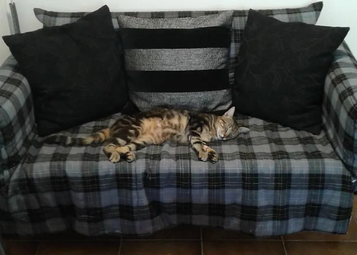 Adriana 4* سان ليون