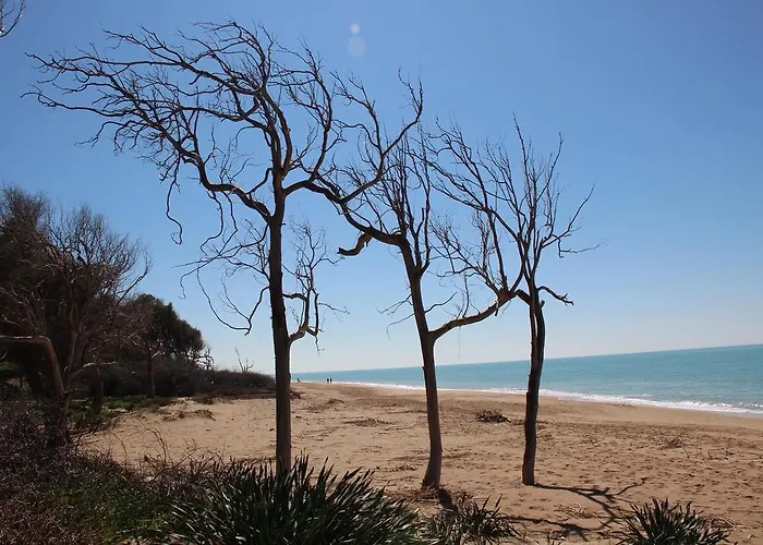 Adriana سان ليون